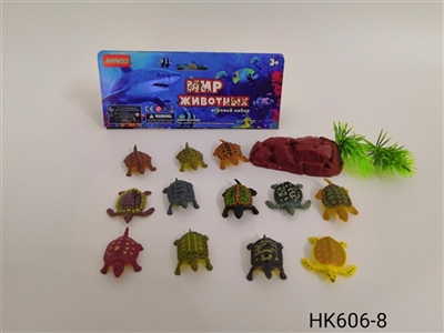 小乌龟 - OBL756482