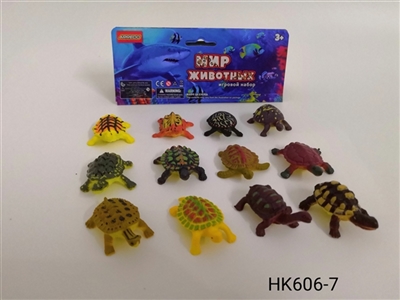 中乌龟 - OBL756483