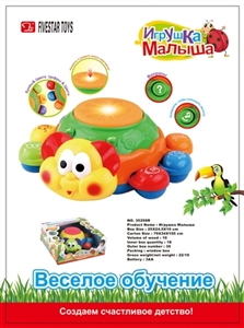 Universal drum beetles - OBL756623