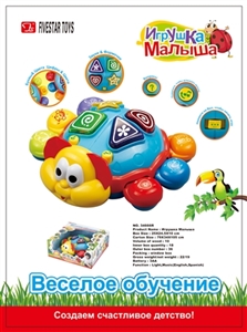 Universal beetle - OBL756625