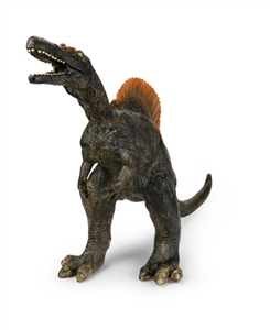 24寸棘背龙 - OBL759583