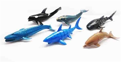 6只装海洋套装 - OBL759925