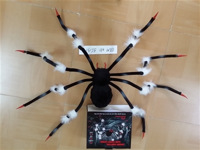 50 inch acoustic tarantula black and white - OBL765101