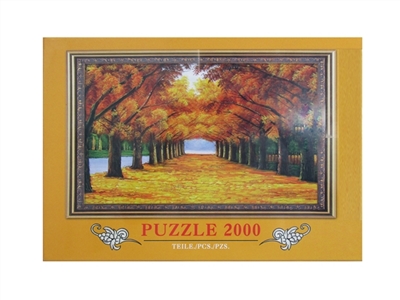 2000PCS 拼图 - OBL770675