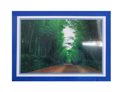 1000PCS 拼图 - OBL770679