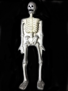 Toy bottle blowing big skeleton - OBL770761
