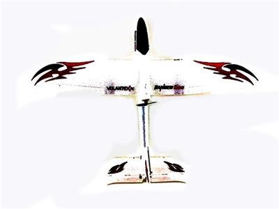 Remote control fixed wing - OBL806705