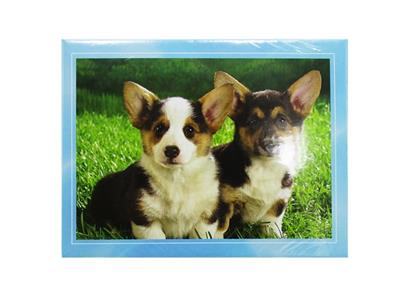 300PCS拼图 - OBL812571