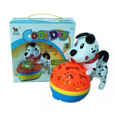 Happy and cool dog - OBL816540
