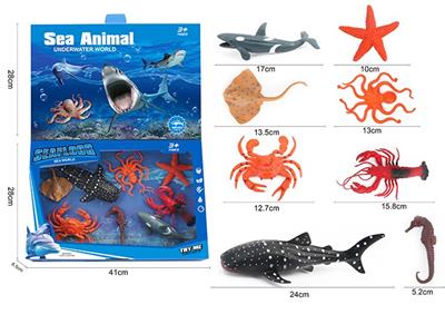 海洋套装 - OBL828904