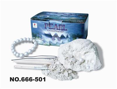 珍珠蚌10pcs - OBL835115