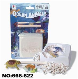 鱼与龟 - OBL835120