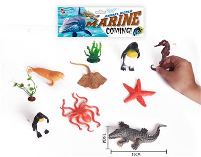 海洋套装 - OBL844072