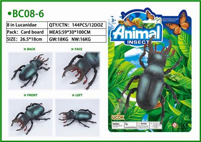 1只8寸楸甲虫绑板 - OBL853676