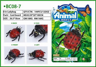 1只8寸瓢虫绑板 - OBL853677