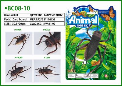 1只8寸蟋蟀绑板 - OBL853680