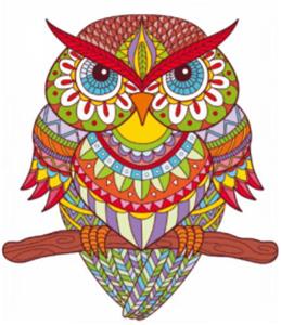 OWL - OBL877955