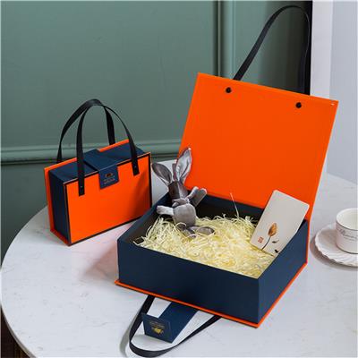 ORANGE-BLUE SUITCASE - LARGE - OBL880200