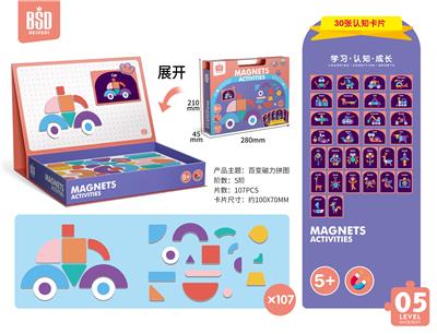 VARIABLE MAGNETIC PUZZLE LEVEL 107P-5 (30 COGNITIVE CARDS) - OBL884489