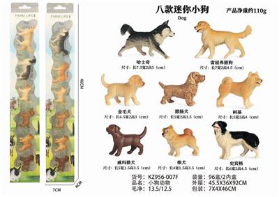 Eight mini puppies - OBL888818