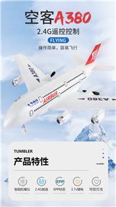 泡沫遥控客机 - OBL936307