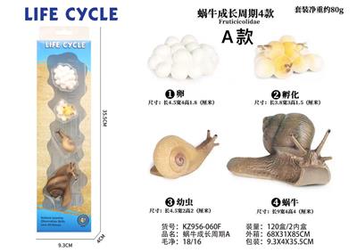 蜗牛成长周期A - OBL938279