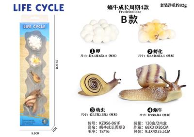 蜗牛成长周期B - OBL938280