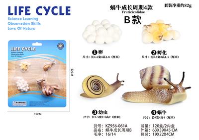蜗牛成长周期B - OBL938291