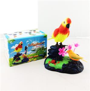 Boutique / Gift Series - OBL938774