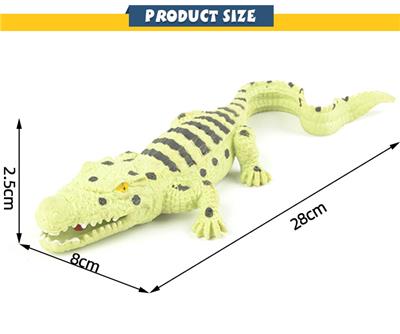 宽吻凯门鳄 - OBL949191