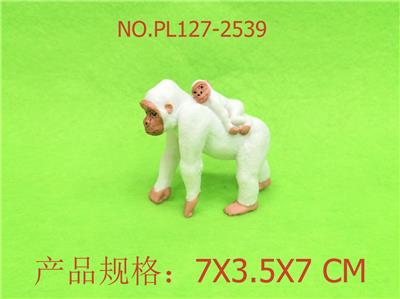 白母猩猩 - OBL949492