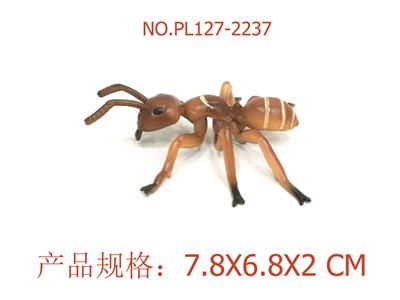 棕色蚂蚁 - OBL949500