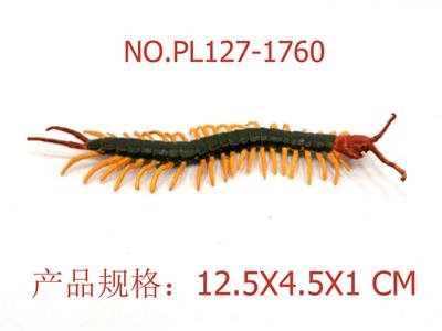 虎斑巨蜈蚣 - OBL949531