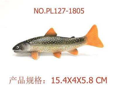 雨点红点鲑 - OBL949532