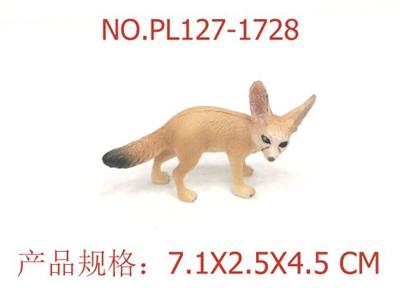 耳廓狐 - OBL949540