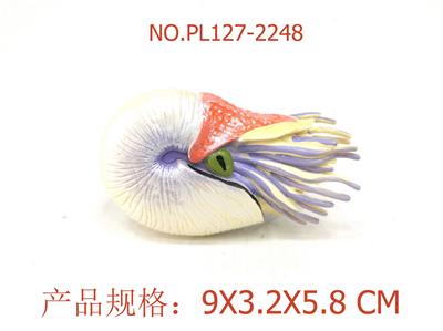 鹦鹉螺 - OBL949544