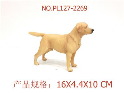 拉布拉多犬 - OBL949548