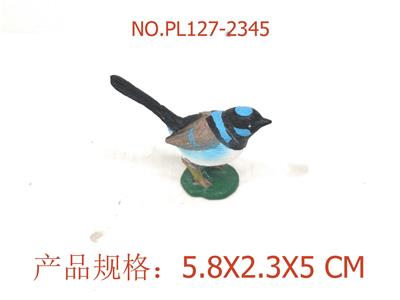 蓝鹩茑 - OBL949578