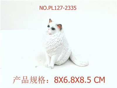 布偶猫 - OBL949632