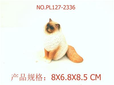 布偶猫 - OBL949648