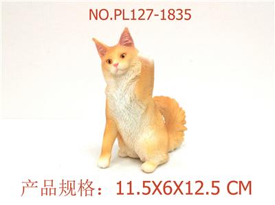 缅因库恩猫 - OBL949650