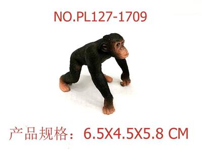 黑公猩猩 - OBL949655