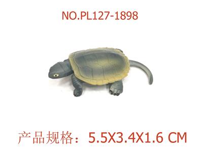 日本拟水龟 - OBL949672