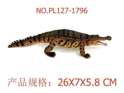 帝王鳄 - OBL949679