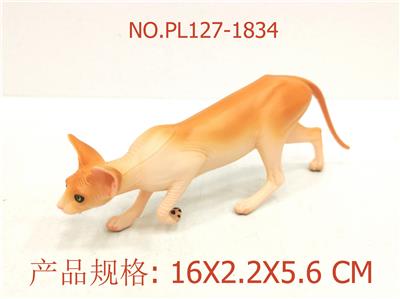 无毛猫 - OBL949685