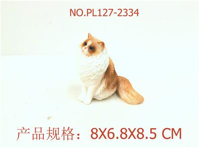 布偶猫 - OBL949691