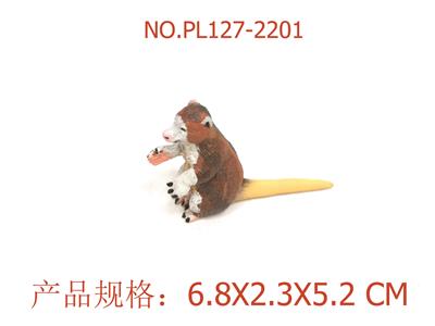 马氏树袋鼠 - OBL949697