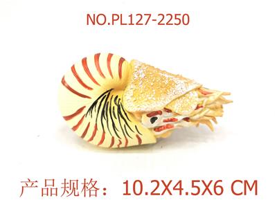 鹦鹉螺 - OBL949698