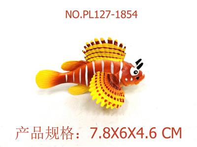 多臂狮子鱼 - OBL949712