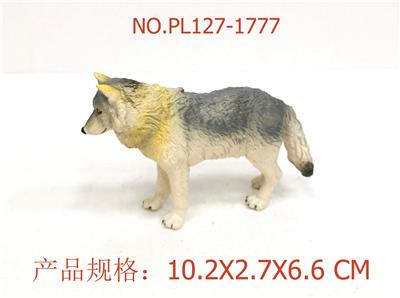 中灰狼 - OBL949735